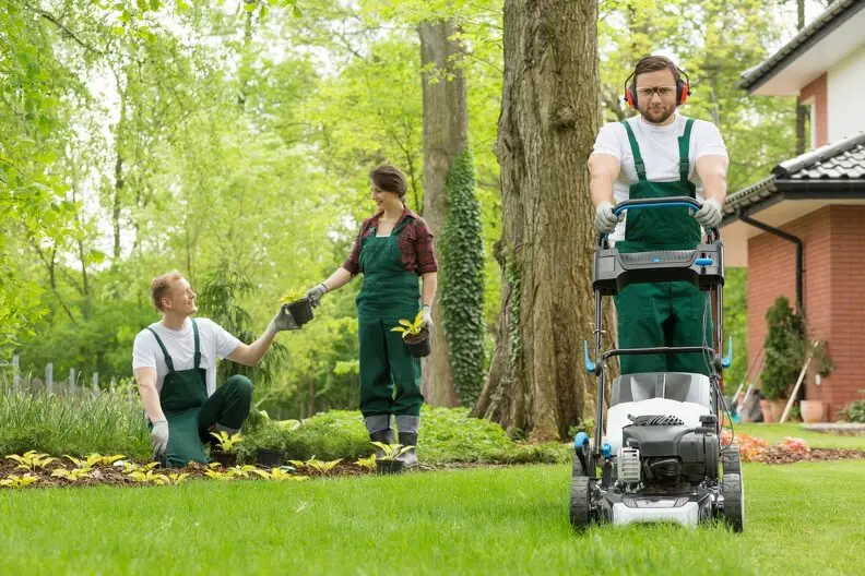 Can You Mow Wet Grass in Hartford, CT