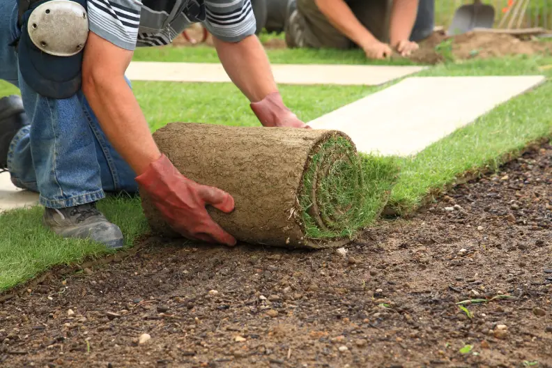 How Long After Installing Sod Can You Walk On It Hartford, CT