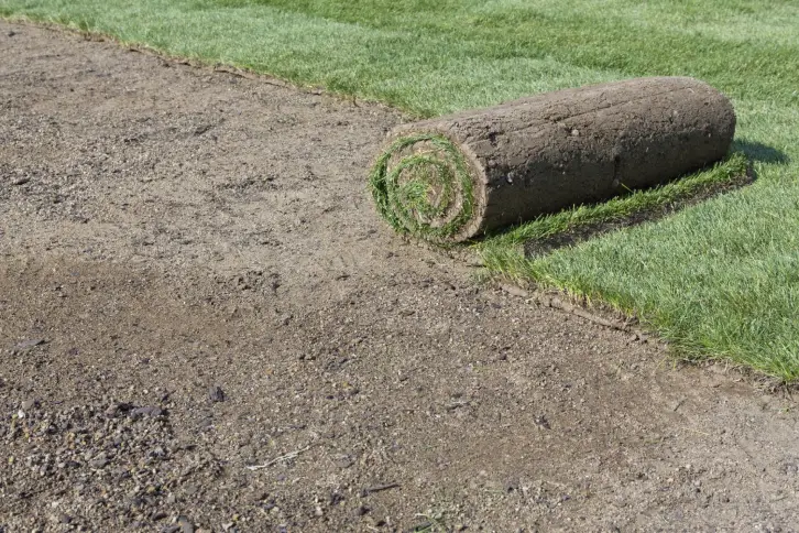 How Long After Installing Sod Can You Walk On It in Hartford, CT