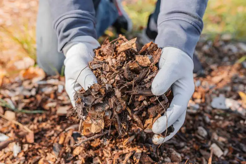 How Long Does Mulch Last in Hartford, CT