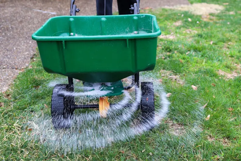 How Often Should You Fertilize Your Lawn in Hartford, CT