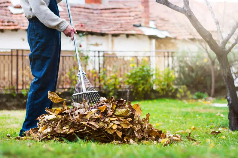 How To Clean A Backyard in Hartford, CT