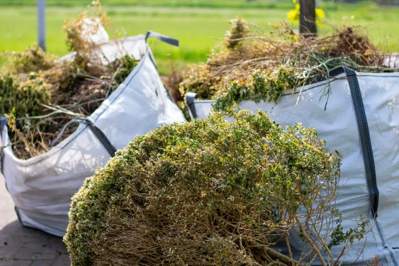 How to Clear a Yard Full of Weeds in Hartford, CT