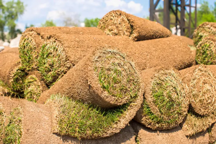 Sod Installation in Hartford, CT - Landscaper