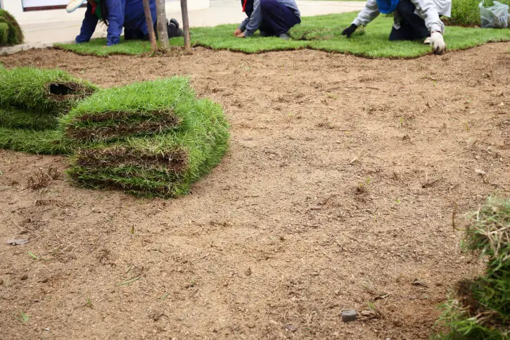 Sod Installation in Hartford, CT