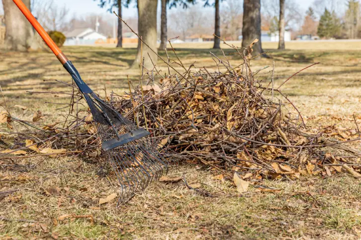 Yard Cleanup in Hartford, CT - Landscaping