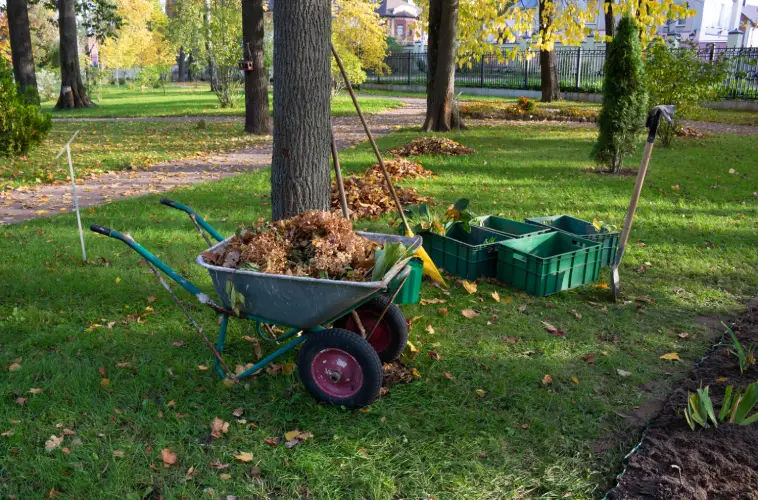 Yard Cleanup in Hartford, CT